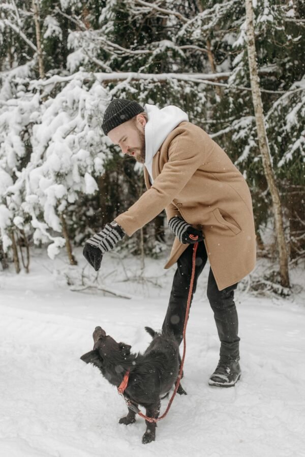 A bearded man in winter clothes plays with his dog on a snowy path in a forest.