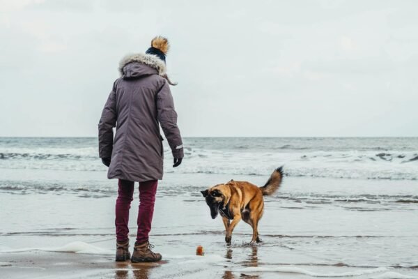 A person in winter clothes playing with a dog on a beach in Knokke-Heist.