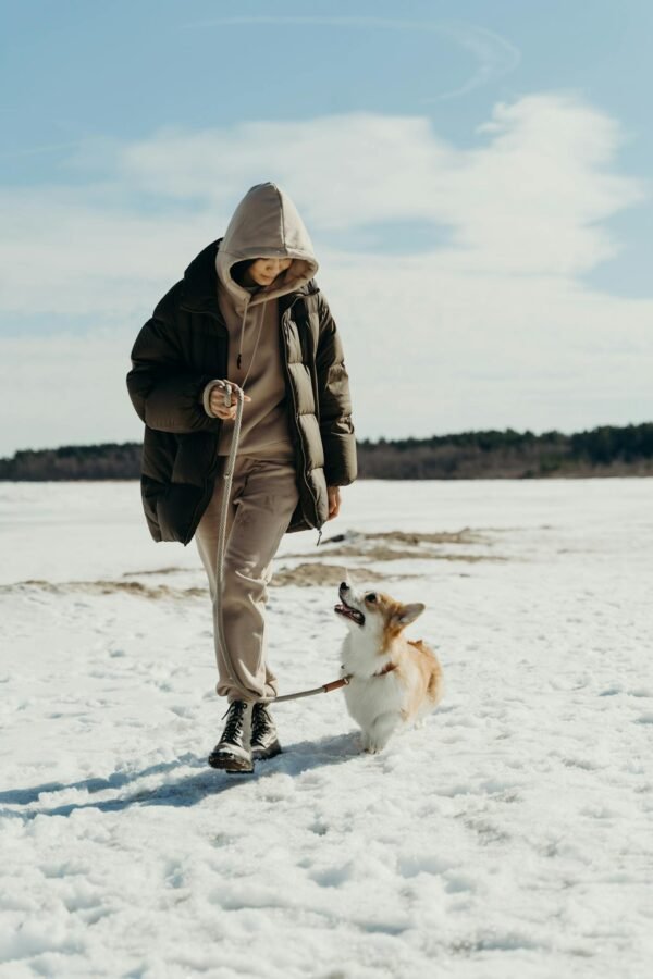 A woman in a puffer jacket walks her corgi on a snowy day, showcasing winter fashion and companionship.