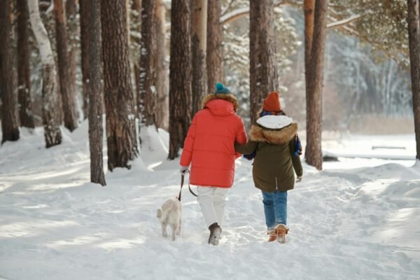 Couple in winter coats walking their dog in a snowy forest, symbolizing togetherness and nature.